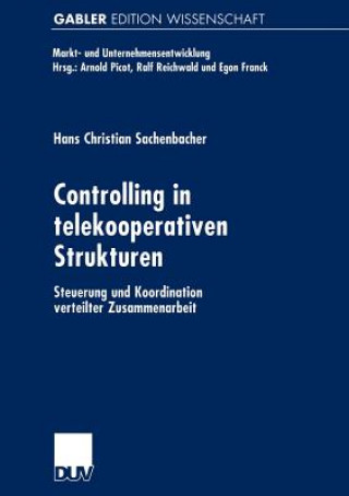 Könyv Controlling in Telekooperativen Strukturen Hans Chr. Sachenbacher