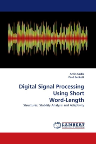 Könyv Digital Signal Processing Using Short Word-Length Amin Sadik