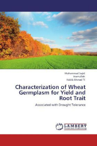 Kniha Characterization of Wheat Germplasm for Yield and Root Trait Muhammad Sajid