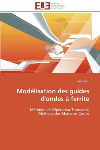 Kniha Mod lisation Des Guides d'Ondes   Ferrite Hedi Sakli