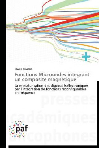 Kniha Fonctions Microondes Integrant Un Composite Magnetique Erwan Salahun
