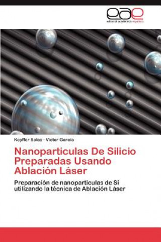 Könyv Nanoparticulas De Silicio Preparadas Usando Ablacion Laser Salas Keyffer