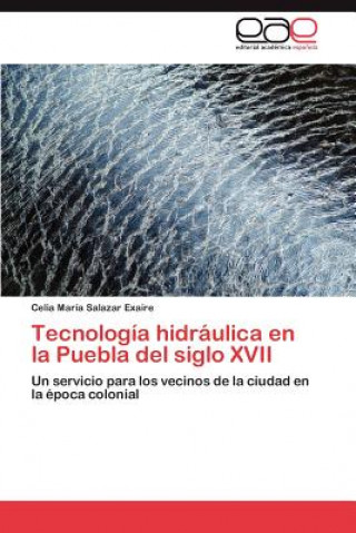 Buch Tecnologia Hidraulica En La Puebla del Siglo XVII Celia María Salazar Exaire