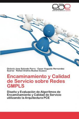 Kniha Encaminamiento y Calidad de Servicio Sobre Redes Gmpls Octavio José Salcedo Parra