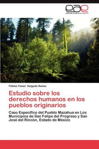 Kniha Estudio sobre los derechos humanos en los pueblos originarios Fátima Yamel Salgado Naime