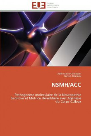 Carte Nsmh/Acc Adele Salin-Cantegrel