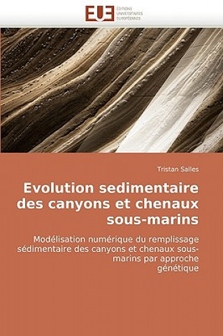 Książka Evolution Sedimentaire Des Canyons Et Chenaux Sous-Marins Tristan Salles