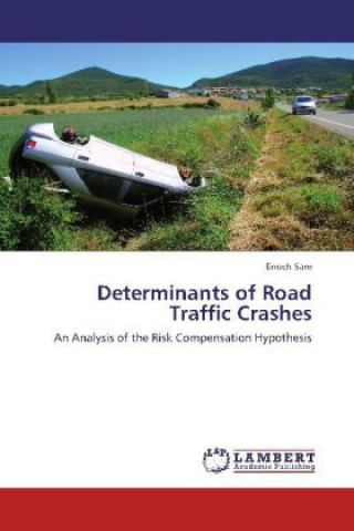 Buch Determinants of Road Traffic Crashes Enoch Sam