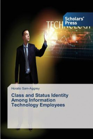 Könyv Class and Status Identity Among Information Technology Employees Horatio Sam-Aggrey