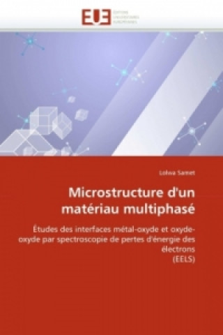 Kniha Microstructure d'un matériau multiphasé Lolwa Samet