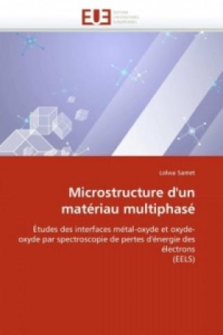 Könyv Microstructure d'un matériau multiphasé Lolwa Samet