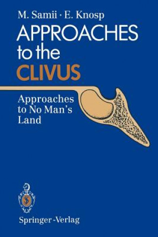 Kniha Approaches to the Clivus Madjid Samii