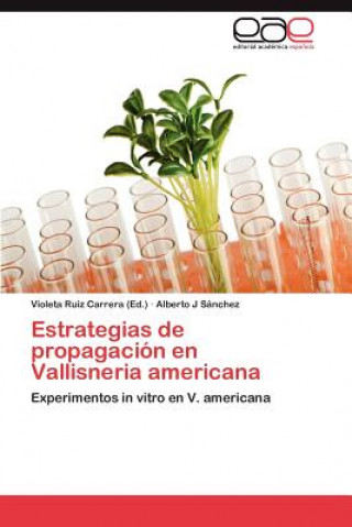 Kniha Estrategias de propagacion en Vallisneria americana Alberto J Sánchez