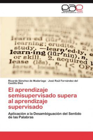 Книга Aprendizaje Semisupervisado Supera Al Aprendizaje Supervisado Ricardo Sánchez de Madariaga