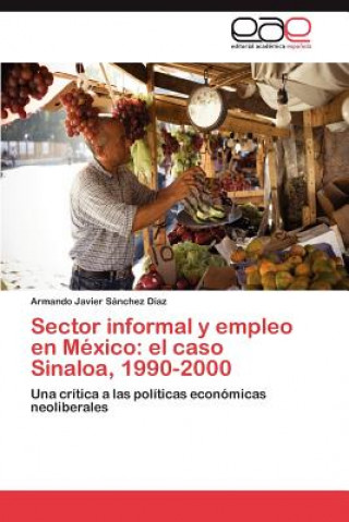 Książka Sector informal y empleo en Mexico Armando Javier Sánchez Díaz