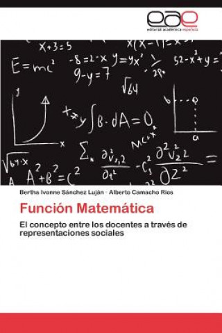 Knjiga Funcion Matematica Bertha Ivonne Sánchez Luján