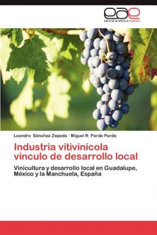 Knjiga Industria vitivinicola vinculo de desarrollo local Leandro Sánchez Zepeda