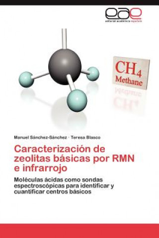 Knjiga Caracterizacion de zeolitas basicas por RMN e infrarrojo Manuel Sánchez-Sánchez