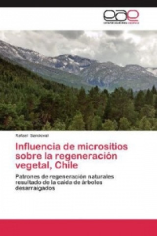 Carte Influencia de micrositios sobre la regeneración vegetal, Chile Rafael Sandoval