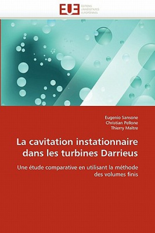 Carte Cavitation Instationnaire Dans Les Turbines Darrieus Eugenio Sansone
