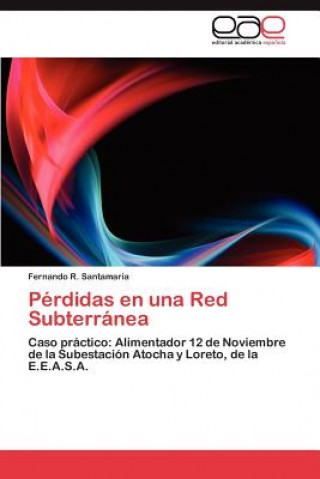 Książka Perdidas en una Red Subterranea Fernando R. Santamaria