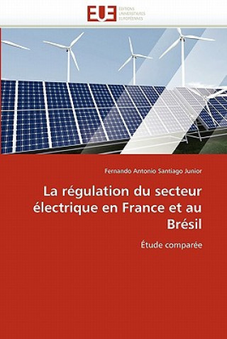 Książka La r gulation du secteur  lectrique en france et au br sil Fernando Antonio Santiago Junior