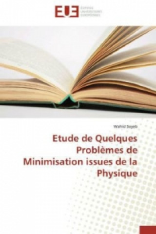 Buch Etude de Quelques Problèmes de Minimisation issues de la Physique Wahid Sayeb
