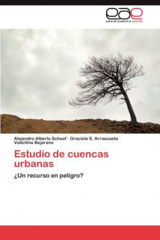 Carte Estudio de Cuencas Urbanas Alejandro Alberto Schaaf