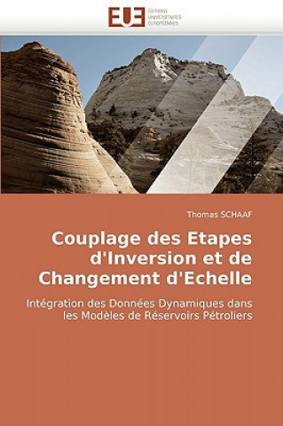 Kniha Couplage Des Etapes d''inversion Et de Changement d''echelle Thomas Schaaf