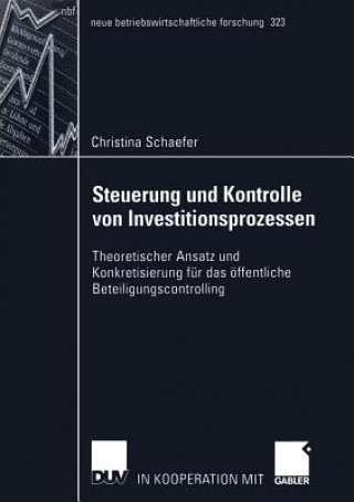 Kniha Steuerung und Kontrolle von Investitionsprozessen Christina Schaefer