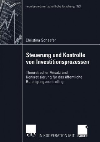 Buch Steuerung und Kontrolle von Investitionsprozessen Christina Schaefer