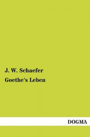 Carte Goethe's Leben J. W. Schaefer