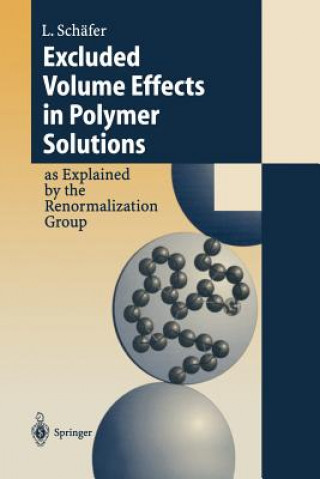 Buch Excluded Volume Effects in Polymer Solutions Lothar Schäfer