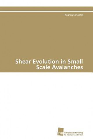 Buch Shear Evolution in Small Scale Avalanches Marius Schaefer