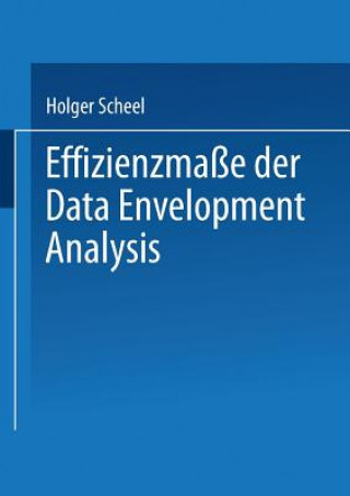 Knjiga Effizienzma e Der Data Envelopment Analysis Holger Scheel