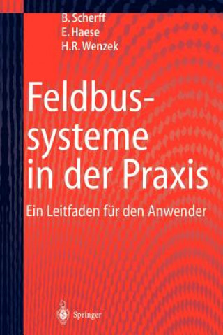 Könyv Feldbussysteme in der Praxis Birgit Scherff