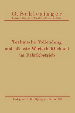 Kniha Technische Vollendung Und Hoechste Wirtschaftlichkeit Im Fabrikbetrieb G. Schlesinger