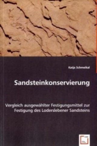 Książka Sandsteinkonservierung Katja Schmeikal