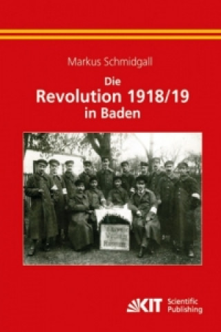Книга Revolution 1918/19 in Baden Markus Schmidgall