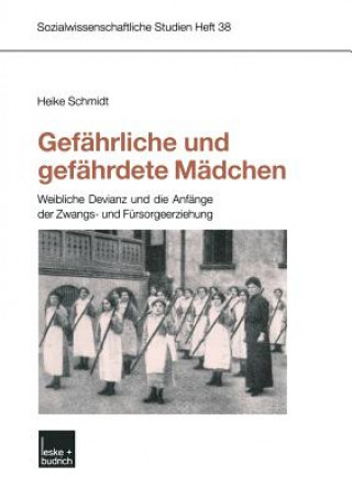 Kniha Gef hrliche Und Gef hrdete M dchen Heike Schmidt
