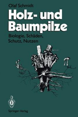 Kniha Holz- und Baumpilze Olaf Schmidt