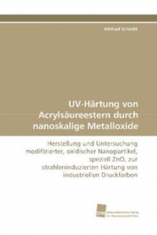 Kniha UV-Härtung von Acrylsäureestern durch nanoskalige Metalloxide Michael Schmitt