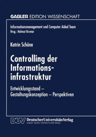 Книга Controlling Der Informationsinfrastruktur Katrin Schöne