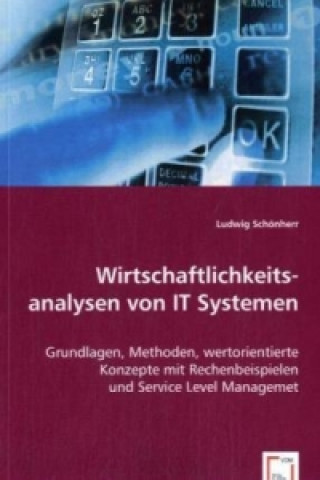 Könyv Wirtschaftlichkeits-analysen von IT Systemen Ludwig Schönherr