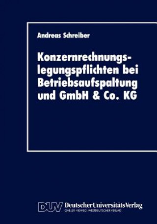 Könyv Konzernrechnungslegungspflichten bei Betriebsaufspaltung und GmbH & Co. KG Andreas Schreiber
