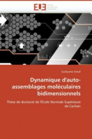 Książka Dynamique d'auto-assemblages moléculaires bidimensionnels Guillaume Schull