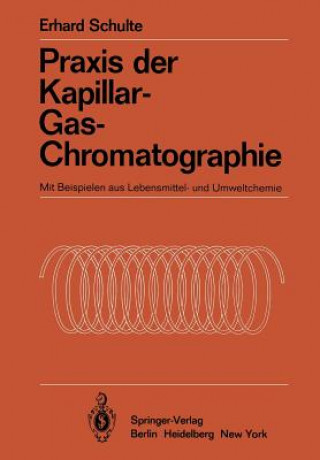 Buch Praxis der Kapillar-Gas-Chromatographie Erhard Schulte