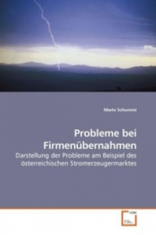 Kniha Probleme bei Firmenübernahmen Mario Schummi