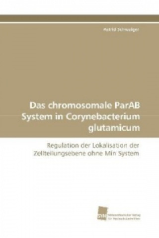 Kniha Das chromosomale ParAB System in Corynebacterium glutamicum Astrid Schwaiger