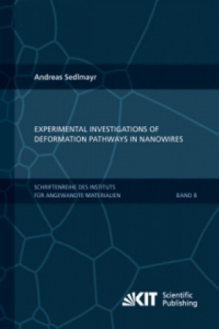 Kniha Experimental Investigations of Deformation Pathways in Nanowires Andreas Sedlmayr